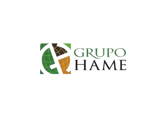 Grupo Hame