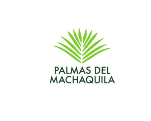 Palmas Machaquila